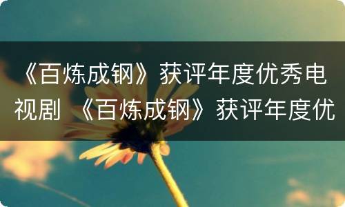 《百炼成钢》获评年度优秀电视剧 《百炼成钢》获评年度优秀电视剧有哪些?