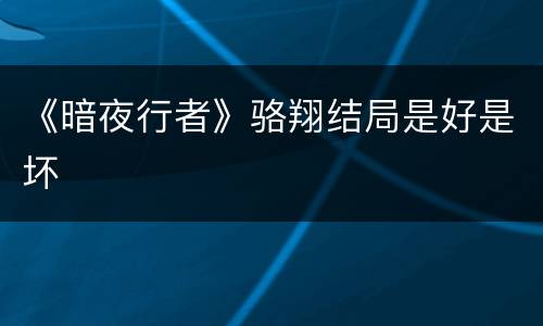 《暗夜行者》骆翔结局是好是坏