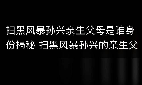 扫黑风暴孙兴亲生父母是谁身份揭秘 扫黑风暴孙兴的亲生父亲