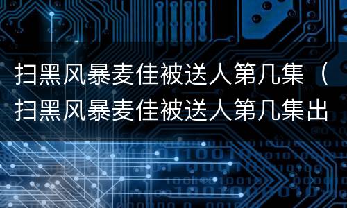 扫黑风暴麦佳被送人第几集（扫黑风暴麦佳被送人第几集出现）