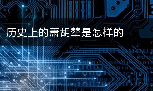 历史上的萧胡辇是怎样的