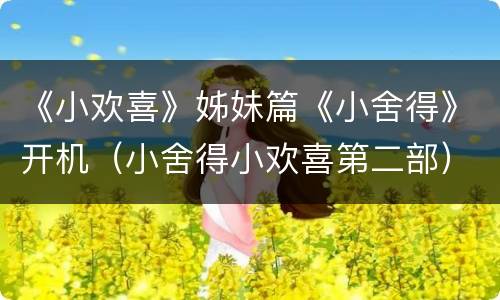 《小欢喜》姊妹篇《小舍得》开机（小舍得小欢喜第二部）