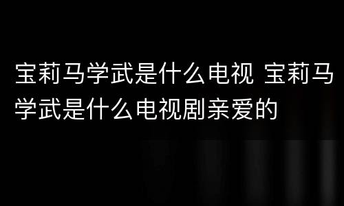 宝莉马学武是什么电视 宝莉马学武是什么电视剧亲爱的