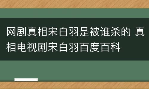 网剧真相宋白羽是被谁杀的 真相电视剧宋白羽百度百科