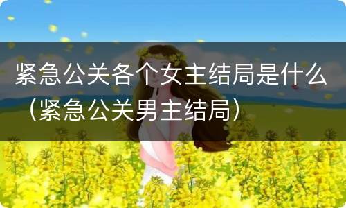紧急公关各个女主结局是什么（紧急公关男主结局）