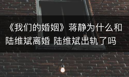 《我们的婚姻》蒋静为什么和陆维斌离婚 陆维斌出轨了吗