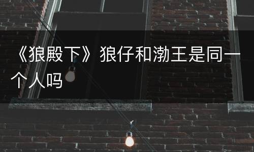 《狼殿下》狼仔和渤王是同一个人吗