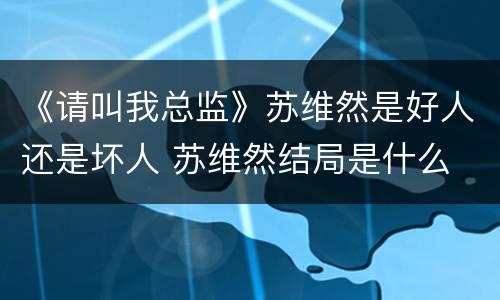 《请叫我总监》苏维然是好人还是坏人 苏维然结局是什么