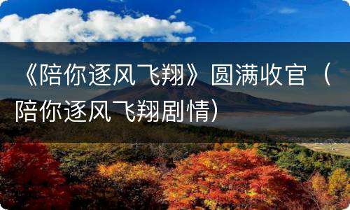 《陪你逐风飞翔》圆满收官（陪你逐风飞翔剧情）
