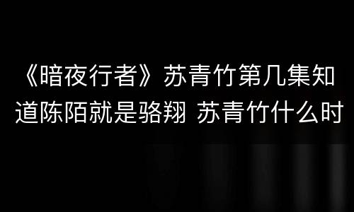 《暗夜行者》苏青竹第几集知道陈陌就是骆翔 苏青竹什么时候发现陈陌身份