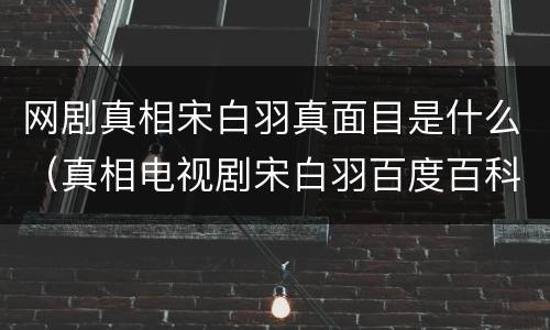 网剧真相宋白羽真面目是什么（真相电视剧宋白羽百度百科）