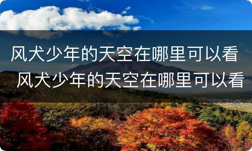 风犬少年的天空在哪里可以看 风犬少年的天空在哪里可以看完