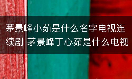茅景峰小茹是什么名字电视连续剧 茅景峰丁心茹是什么电视剧
