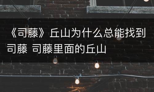 《司藤》丘山为什么总能找到司藤 司藤里面的丘山