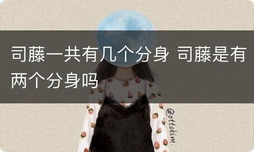司藤一共有几个分身 司藤是有两个分身吗