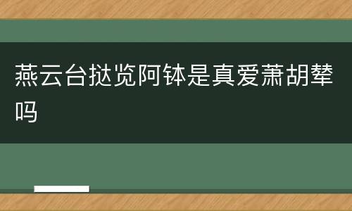 燕云台挞览阿钵是真爱萧胡辇吗