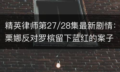 精英律师第27/28集最新剧情：栗娜反对罗槟留下蓝红的案子