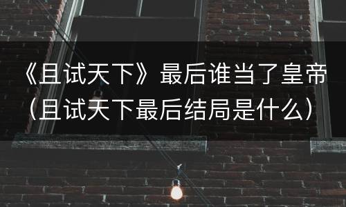 《且试天下》最后谁当了皇帝（且试天下最后结局是什么）