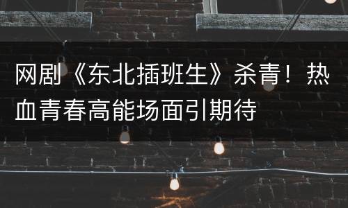 网剧《东北插班生》杀青！热血青春高能场面引期待