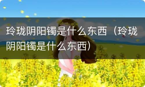 玲珑阴阳镯是什么东西（玲珑阴阳镯是什么东西）