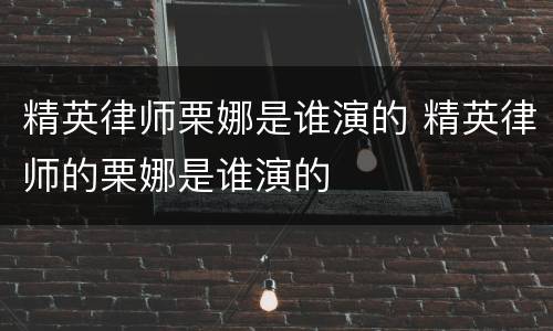 精英律师栗娜是谁演的 精英律师的栗娜是谁演的