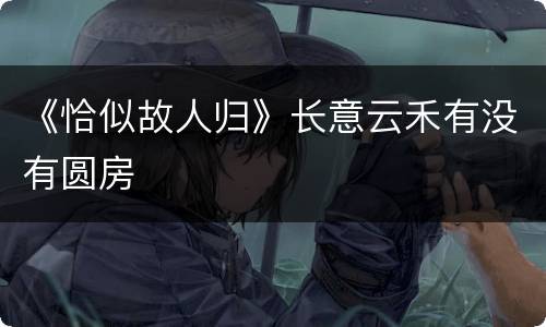 《恰似故人归》长意云禾有没有圆房