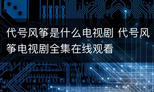 代号风筝是什么电视剧 代号风筝电视剧全集在线观看