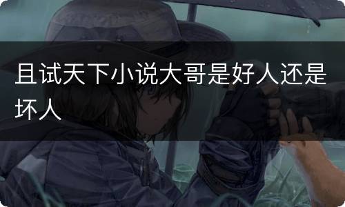 且试天下小说大哥是好人还是坏人