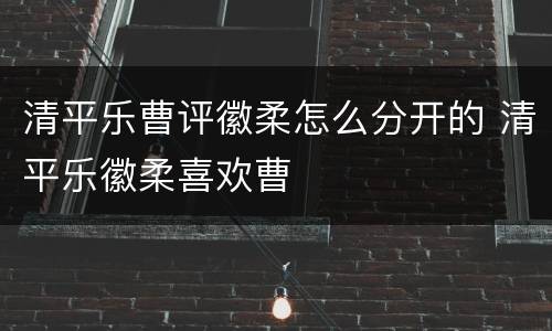 清平乐曹评徽柔怎么分开的 清平乐徽柔喜欢曹