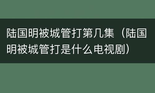 陆国明被城管打第几集（陆国明被城管打是什么电视剧）