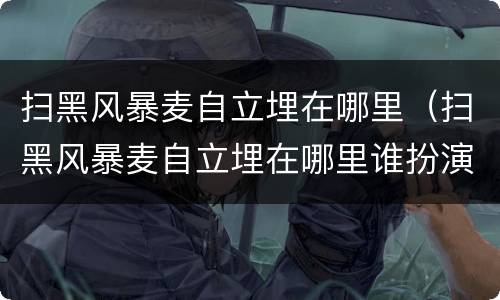 扫黑风暴麦自立埋在哪里（扫黑风暴麦自立埋在哪里谁扮演的）