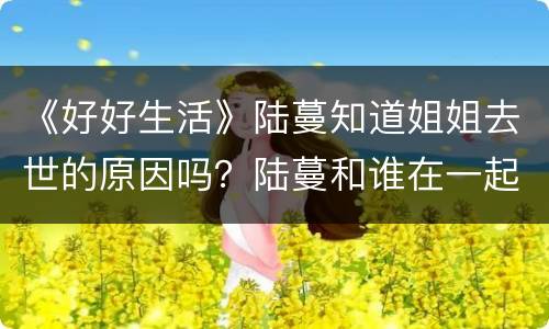 《好好生活》陆蔓知道姐姐去世的原因吗？陆蔓和谁在一起了？
