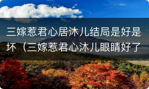 三嫁惹君心居沐儿结局是好是坏（三嫁惹君心沐儿眼睛好了吗）