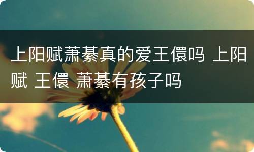 上阳赋萧綦真的爱王儇吗 上阳赋 王儇 萧綦有孩子吗