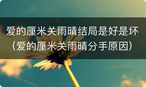 爱的厘米关雨晴结局是好是坏（爱的厘米关雨晴分手原因）