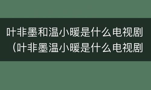 叶非墨和温小暖是什么电视剧（叶非墨温小暖是什么电视剧演员表）