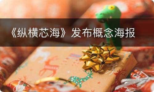 《纵横芯海》发布概念海报