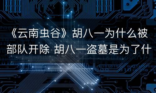 《云南虫谷》胡八一为什么被部队开除 胡八一盗墓是为了什么