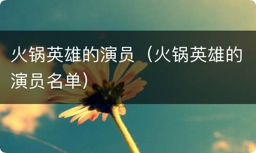 火锅英雄的演员（火锅英雄的演员名单）