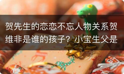 贺先生的恋恋不忘人物关系贺维非是谁的孩子？小宝生父是贺乔宴吗？