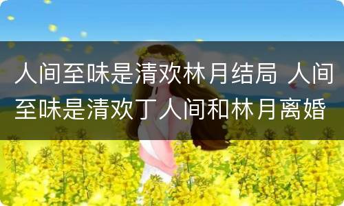 人间至味是清欢林月结局 人间至味是清欢丁人间和林月离婚了吗