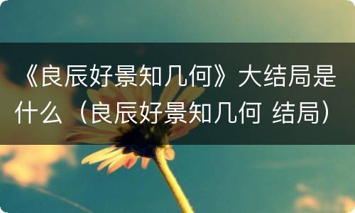 《良辰好景知几何》大结局是什么（良辰好景知几何 结局）