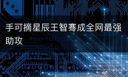 手可摘星辰王智骞成全网最强助攻