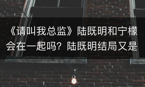 《请叫我总监》陆既明和宁檬会在一起吗？陆既明结局又是什么