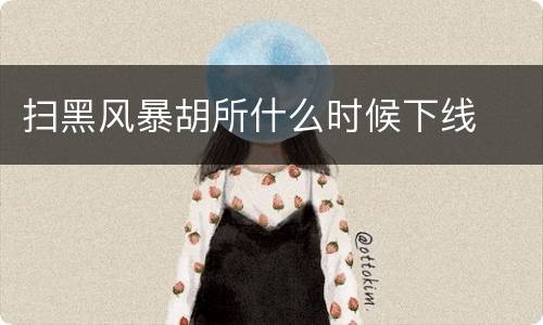 扫黑风暴胡所什么时候下线