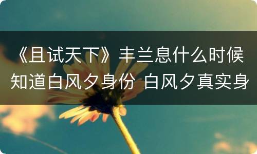 《且试天下》丰兰息什么时候知道白风夕身份 白风夕真实身份哪一集曝光