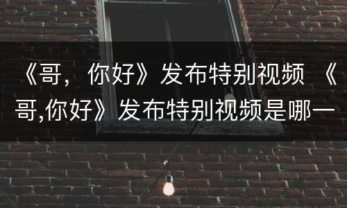 《哥，你好》发布特别视频 《哥,你好》发布特别视频是哪一期