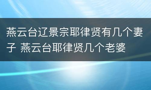 燕云台辽景宗耶律贤有几个妻子 燕云台耶律贤几个老婆