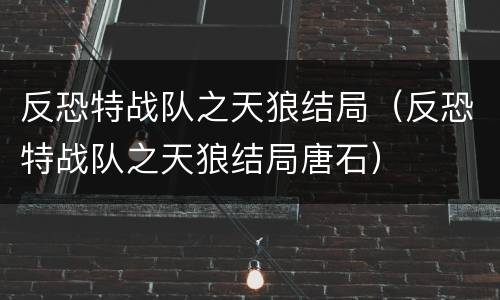 反恐特战队之天狼结局（反恐特战队之天狼结局唐石）