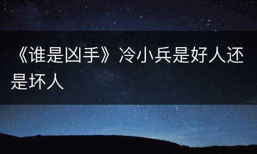 《谁是凶手》冷小兵是好人还是坏人